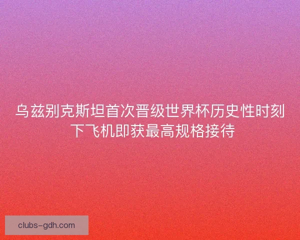 乌兹别克斯坦首次晋级世界杯历史性时刻 下飞机即获最高规格接待 乌兹别克斯坦首次晋级世界杯历史性时刻 下飞机即获最高规格接待
